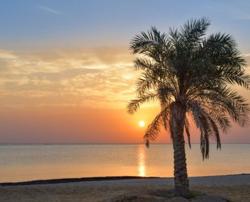 Africa, Egypt, sunset, sun rise, sun light, red sea, beach, palm, palm beach, clouds, orange, sky
