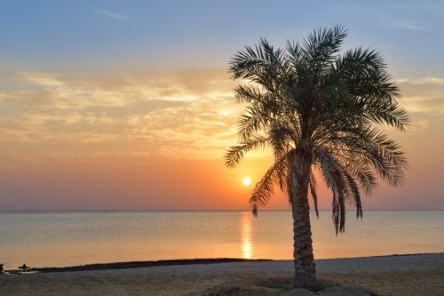 Africa, Egypt, sunset, sun rise, sun light, red sea, beach, palm, palm beach, clouds, orange, sky