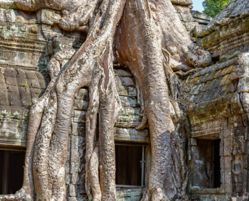 Angkor Wat Cambodia Kambodża
