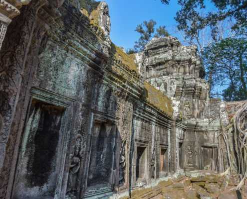 Angkor Wat Ta Prohm roots tree old Cambodia