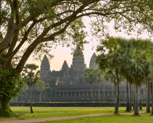 Angkor Wat Temple Cambodia old ruins trees palms long way visit trip tree grass sunrise