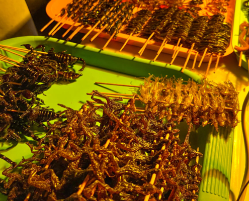 Cambodian food tasty street food insects