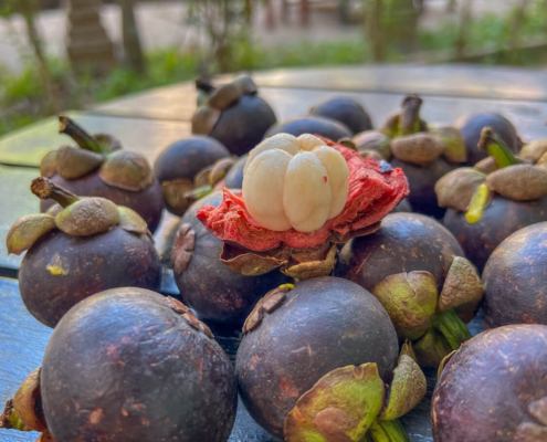 mangostany ząbki czosnku owoce Kambodża