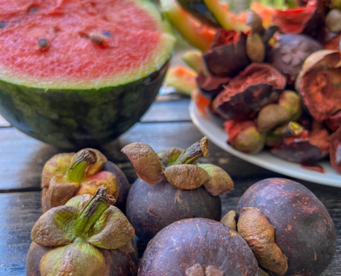 owoce mangostany arbuz kambodża